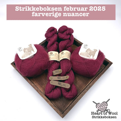 Strikkeboksen februar 2025 farverige nuancer