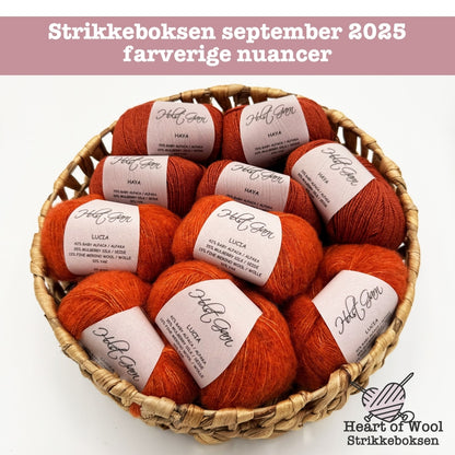 Strikkeboksen september 2025 farverige nuancer
